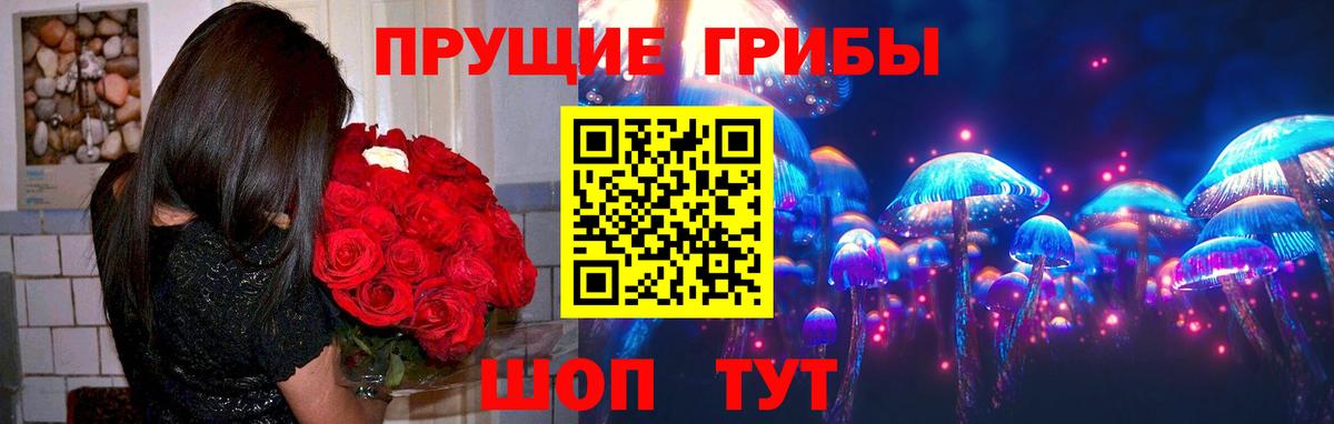 Псилоцибиновые грибы Psilocybe  Вход с VPN  Печора 